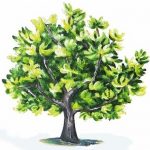 Parabole figuier stérile bible