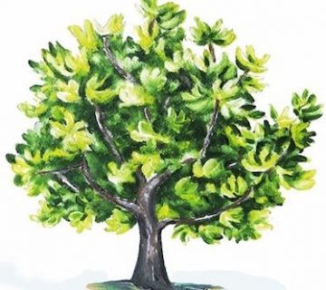 Parabole figuier stérile bible