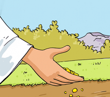 parabole de la semence bible