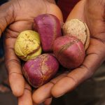 la dot est elle biblique?