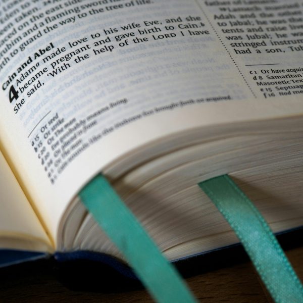 pexels-brettjordan-4654198