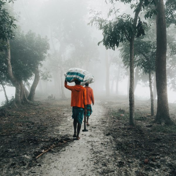 pexels-mdadilahnaf-19671785