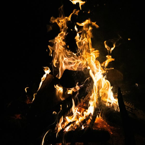 pexels-railgunbreaker-31981287