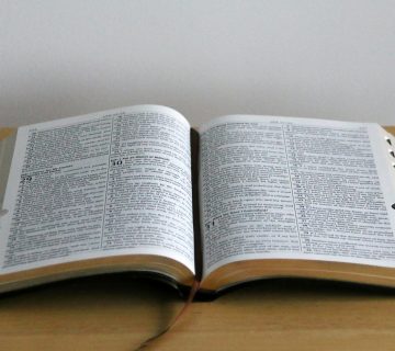 pexels-ewei2805-8268309