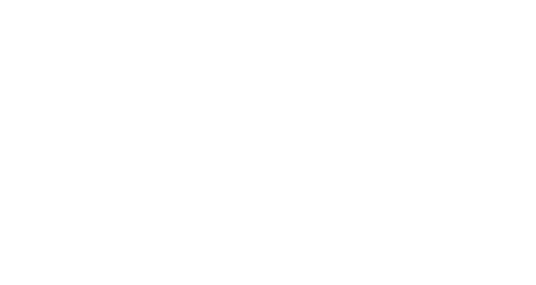 Life in Abundance Ministries